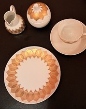 Rosenthal kaffeeservice person gebraucht kaufen  Rosengarten