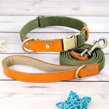 Halsband leine set gebraucht kaufen  Mülheim an der Ruhr