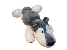 Nici husky hund gebraucht kaufen  Schwetzingen