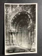 Norman doorway bees for sale  WORKINGTON