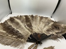Fabulous antique ostrich for sale  LLANFAIRPWLLGWYNGYLL