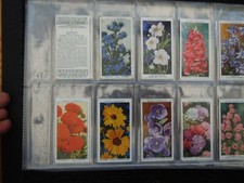 cigarette cards garden flowers for sale cigarette cards garden flowers for sale MELTON MOWBRAY