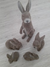 Grosser sterhase 4 gebraucht kaufen  Brunsbüttel
