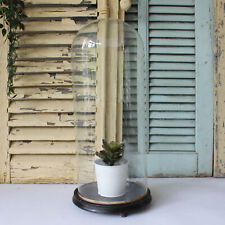 Large antique glass for sale  SURBITON