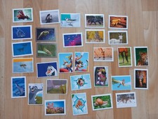 Sammelsticker abenteuer tierwe gebraucht kaufen  Dresden