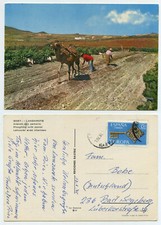 59973 lanzarote arando usato  Spedire a Italy