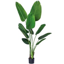 Bagari one foot for sale  Seattle
