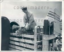 1946 jersey bull for sale  Whiteville
