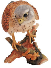 country artists birds for sale country artists birds for sale WISBECH