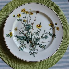 Botanica speiseteller hne gebraucht kaufen  Überherrn
