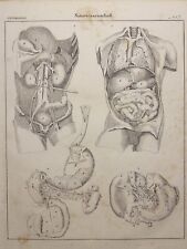 Litografia antica 1833 usato  Spedire a Italy