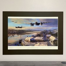 Vintage mosquitos dusk for sale  ELY