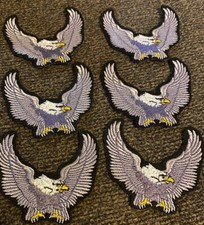Lot bald eagle for sale  Holly Springs