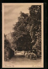 Ansichtskarte zwingenberg hess gebraucht kaufen  Berlin