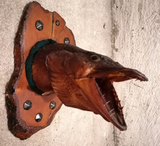 Vintage hechtkopf kopfpräpara gebraucht kaufen  Miltenberg