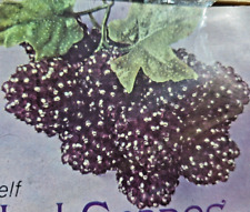 Walco beaded purple for sale  Mayville
