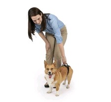 Petsafe solvit carelift for sale  BELVEDERE