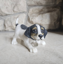 russell terrier for sale russell terrier for sale PAISLEY