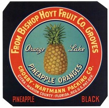 Pineapple oranges vintage for sale  Chico