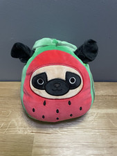 Prince watermelon pug for sale  ROMSEY