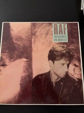 Vinile raf svegliarsi usato  Frattamaggiore