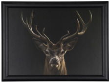 Knietablett hirsch mars gebraucht kaufen Knietablett hirsch mars gebraucht kaufen  Rostock