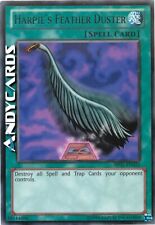 Harpie feather duster usato  Ravenna