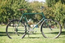 mens raleigh bike for sale mens raleigh bike for sale Davis