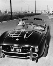 Steve mcqueen shelby for sale  USA
