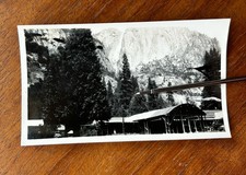 Vintage 1930s old for sale  Altadena