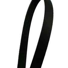 Cinghia motore tapis usato  Priverno
