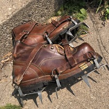 Wwii 10th div for sale  Hoffman Estates