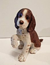 Lenox english springer for sale Lenox english springer for sale  Brooklyn