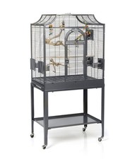 Vogelkäfig madeira montana gebraucht kaufen  Ellhofen