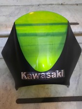 Cupolino puig kawasaki usato  Roma