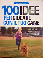 Libro 100 idee usato  Civitanova Marche