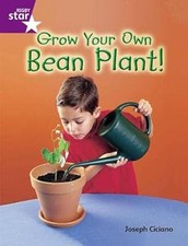 Rigby Star Guided Quest Purple: Grow Your Own Bean Plant! (STARQUEST), Ciciano,  comprar usado  Enviando para Brazil