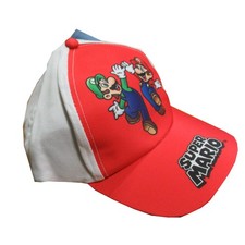 Super mario luigi usato  Belluno