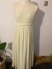 Beautiful lemon little for sale  NEWTON ABBOT