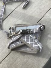 Grey white dog for sale  HONITON