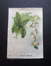Imperial tobacco antique for sale  STAFFORD