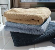 Hiorie Hôtel Doux Bactéricide Water-Absorption Visage Serviette Tissu 2 Coton comprar usado  Enviando para Brazil