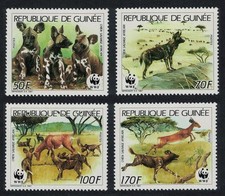 african wild dog for sale african wild dog for sale UK