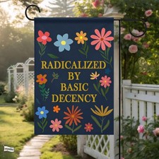 Radicalized basic decency for sale  Crystal River