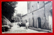 cartoline siena usato cartoline siena usato Zerbolo