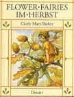 Flower fairies herbst gebraucht kaufen  Berlin