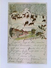 Molkenhaus harzburg lithografi gebraucht kaufen  Aarbergen
