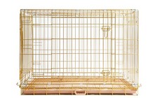 Copper gold dog for sale Copper gold dog for sale  Eugene