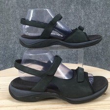 clarks springers for sale clarks springers for sale Circle Pines