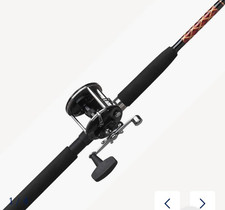 Vara de pesca cambo vara feia penn comprar usado  Enviando para Brazil